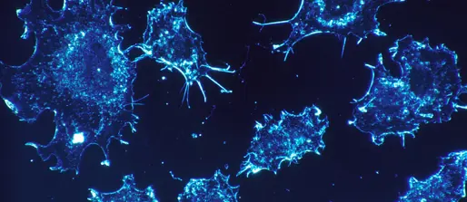 Exciting technology opens the door to new treatments for cancer and infectious diseases