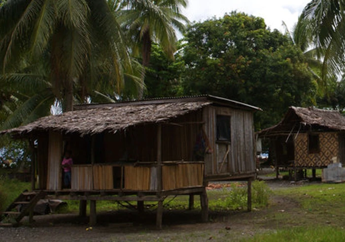 Malaria In Png Cpop 2
