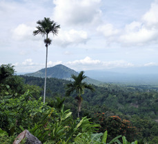 Papua New Guinea Image