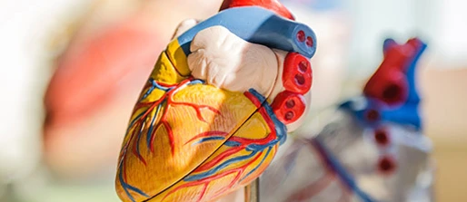 Getting to the heart of cardiovascular disease in viral infections