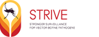 STRIVE PNG: Stronger surveillance for vector-borne pathogens.