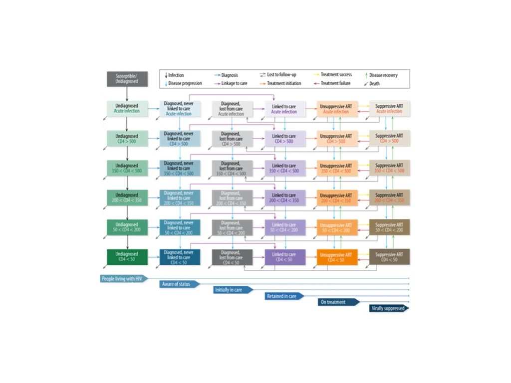 Diagram showing HIV pathways such as infection, diagnosis, treatment, follow-up, care and disease recovery.