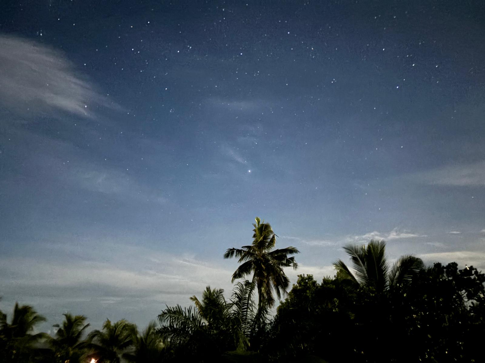 Starry night sky with edged with dark silhouette of palm trees in Luatuanu’u, Upolu, Samoa.