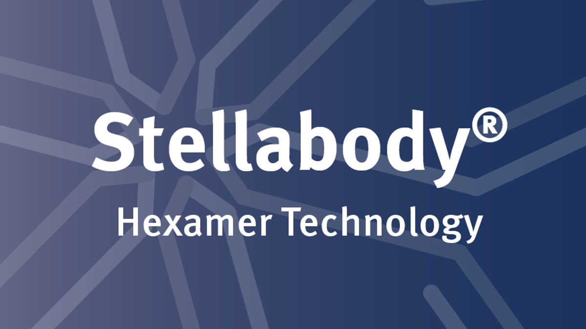 Stellabody Snippet Image Updated