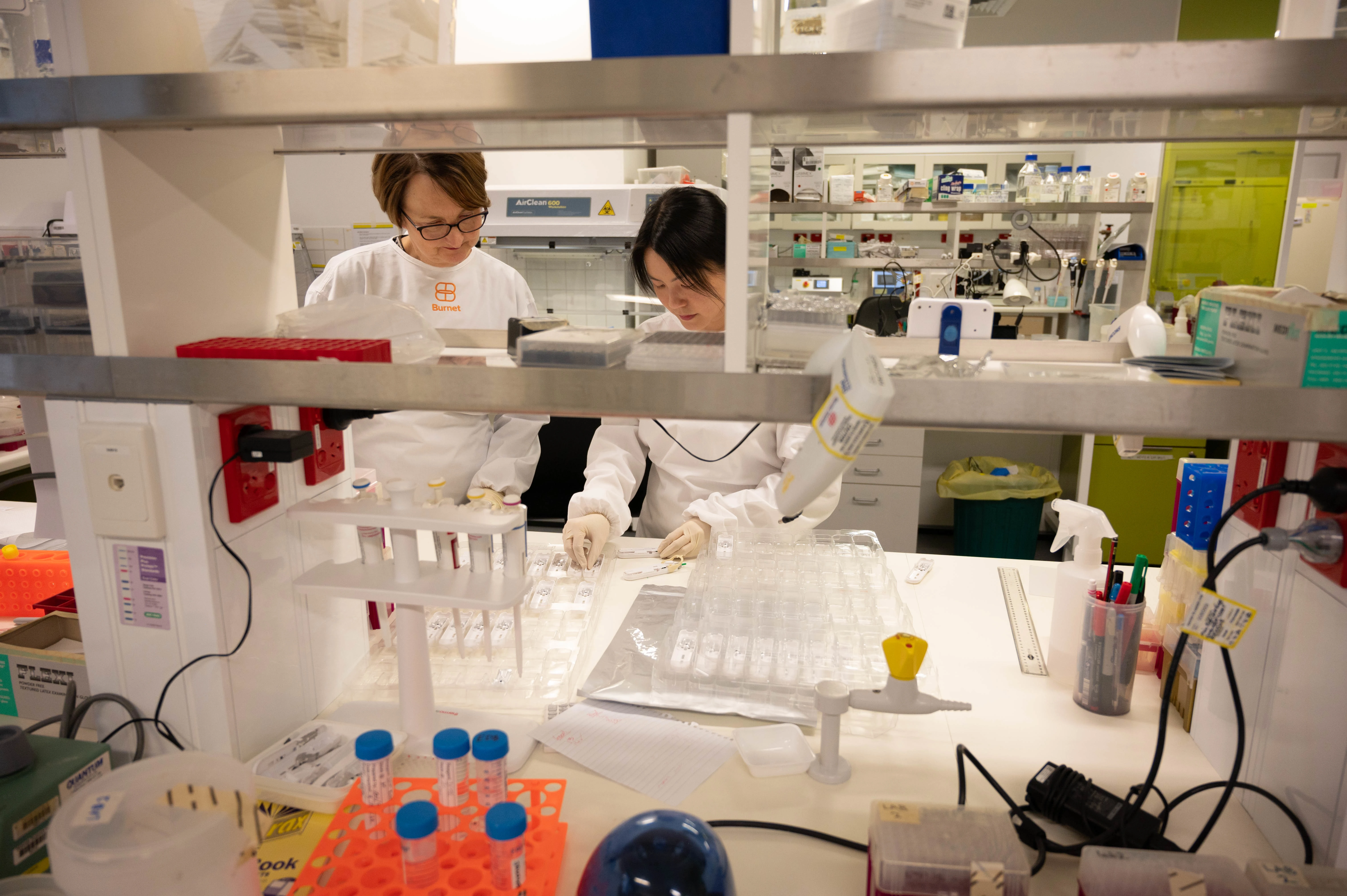 Professor Heidi Drummer and Dr Lilian Hor working in the lab.