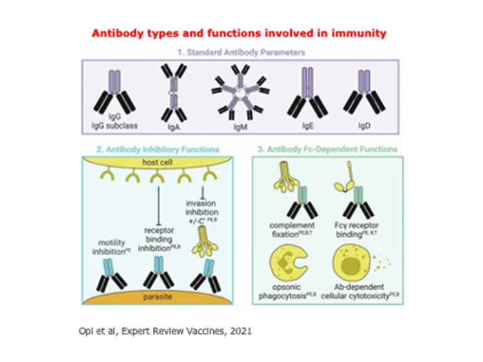 Project Image Understanding Malaria Transmission And Immunity To Inform Malaria Elimination