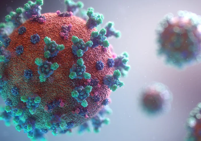 SARS Cov 2 Visualisation
