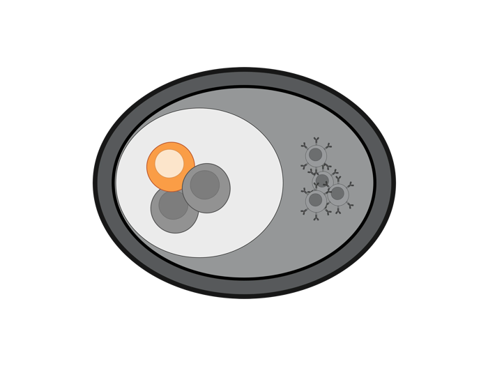 Cellular illustration.