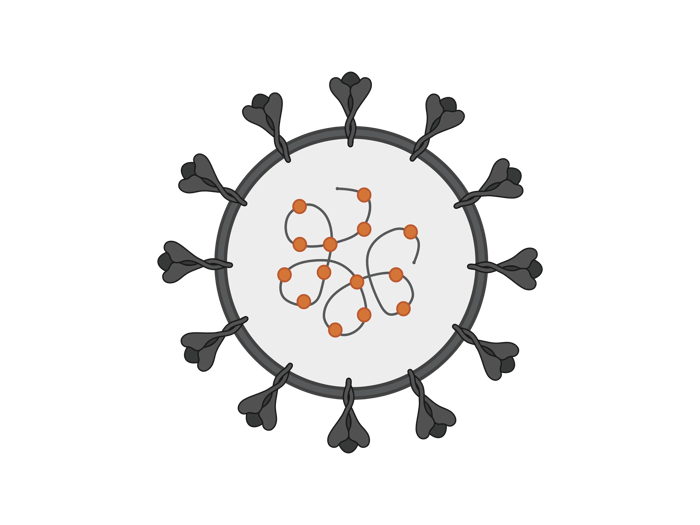 Cell illustration.