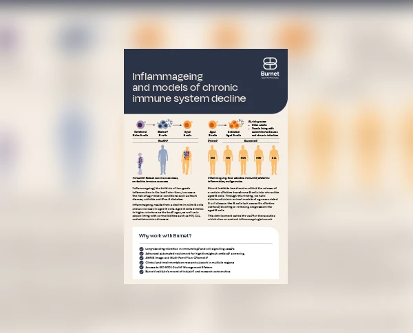 Inflammageing Flyer Cover Thumbnail