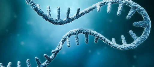 Developing next-generation mRNA vaccines for malaria