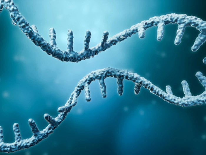 BVI Mrna