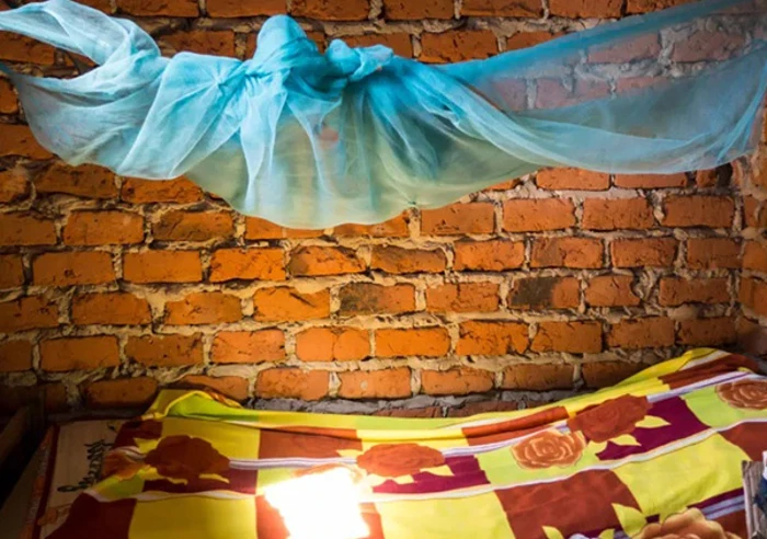 Mosquito Net 500X500