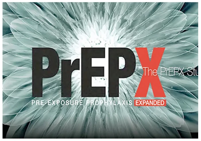 Prepxlogo V2