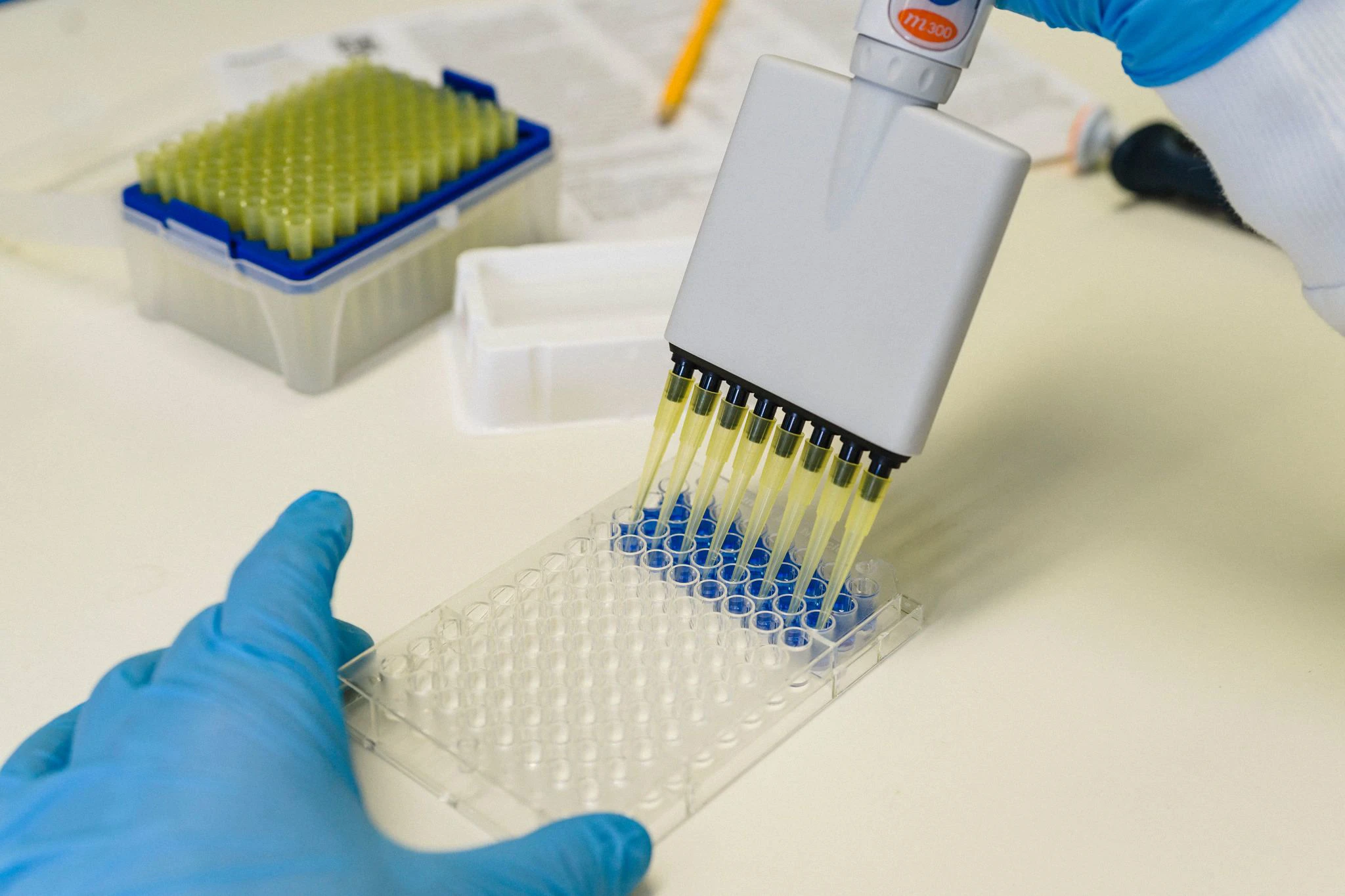 Burnet Institute Oct 2018 122 General 2048X1365