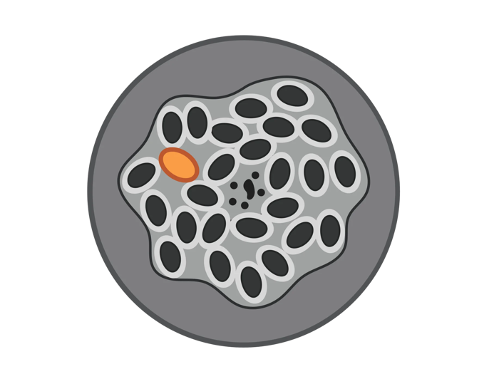 Cellular illustration.