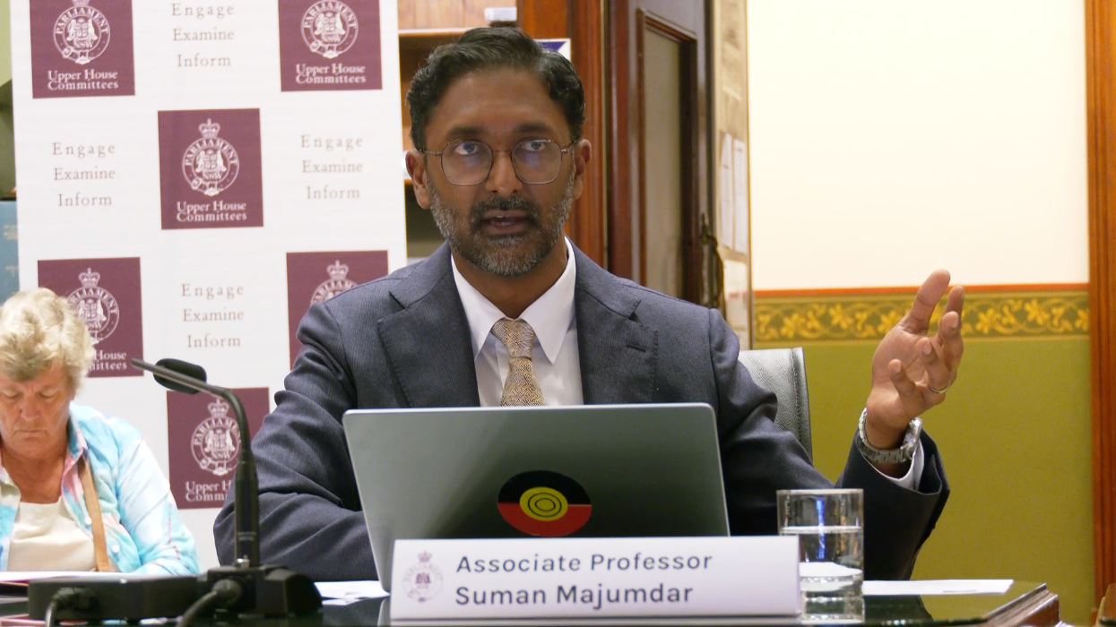 Associate Professor Suman Majumdar speaking at the hearing with a laptop.
