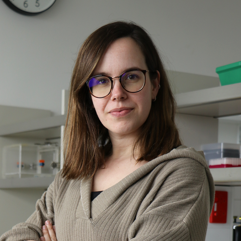 Dr Amaya Ortega Pajares