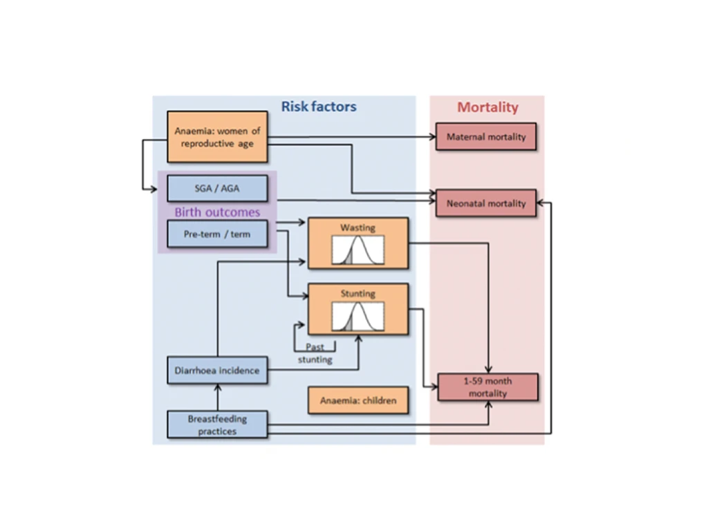 Diagram of how risk factors can affect infant mortality.