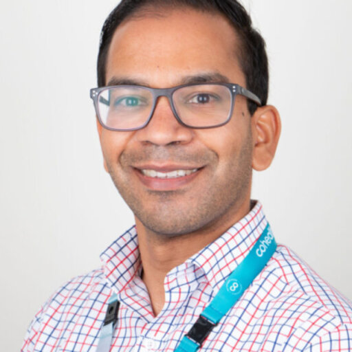 Associate Professor Thileepan Naren