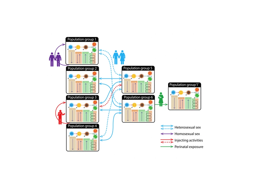 Diagram showing how HIV can be transmitted between population groups.