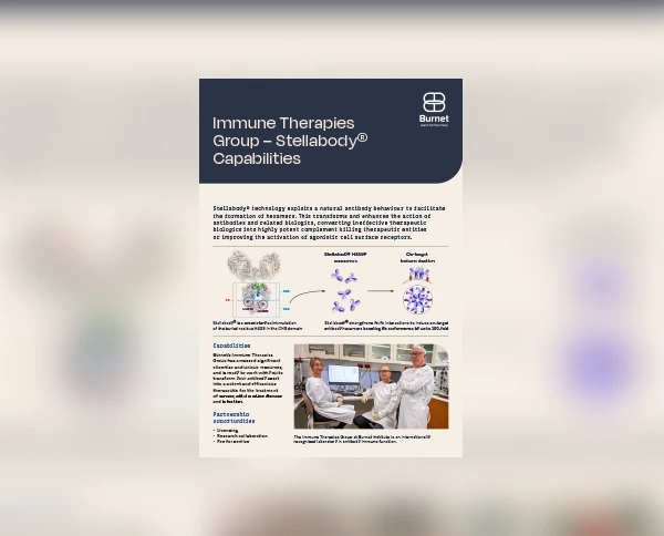 Stellabody Flyer Cover Thumbnail