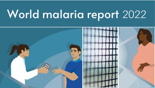World malaria report 2022 graphic