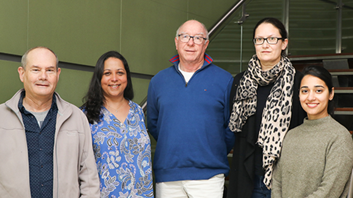 IMMUNE THERAPIES GROUP