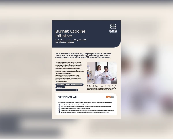 BVI Flyer Cover Thumbnail