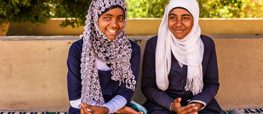 Review of the health and wellbeing of adolescents and young people in the Middle East and North Africa