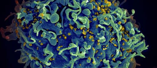Optima HIV modelling