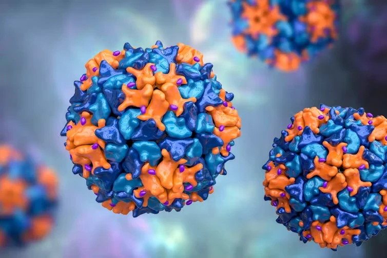 Poliovirus graphic.