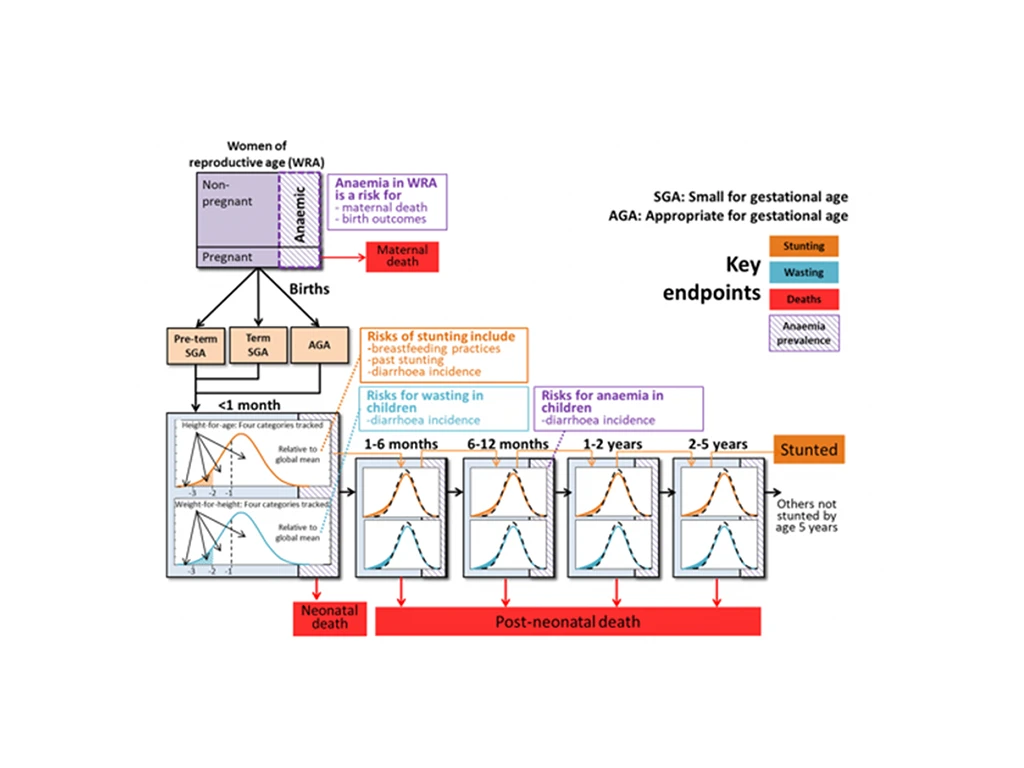 Diagram of Optima Nutrition factors, such as wasting or diarrhoea.